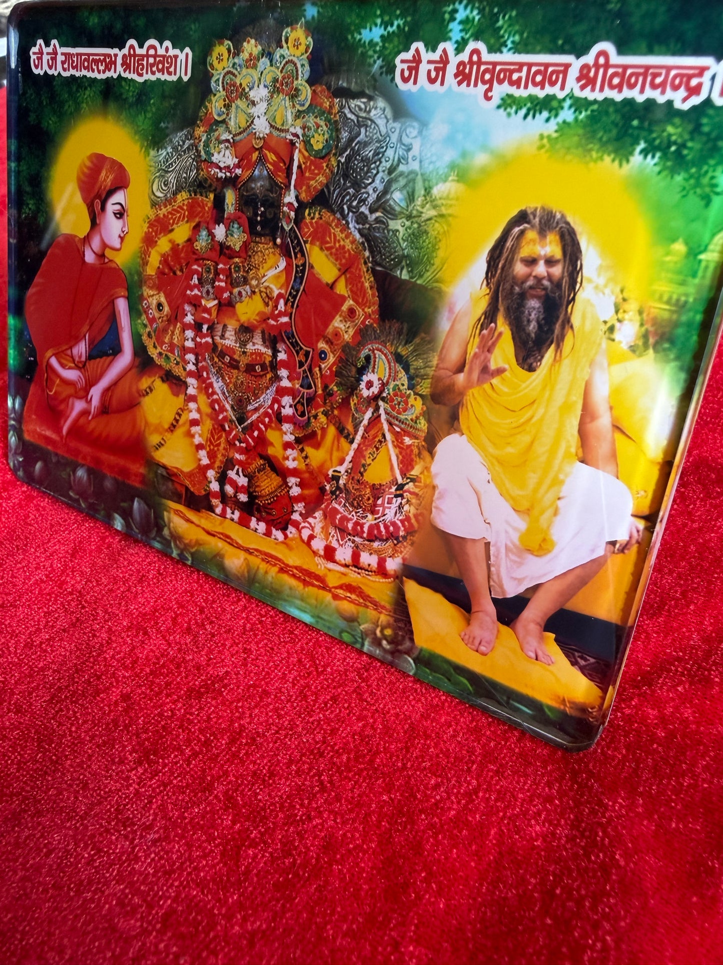 Beautiful Nikunj Seva Acrylic