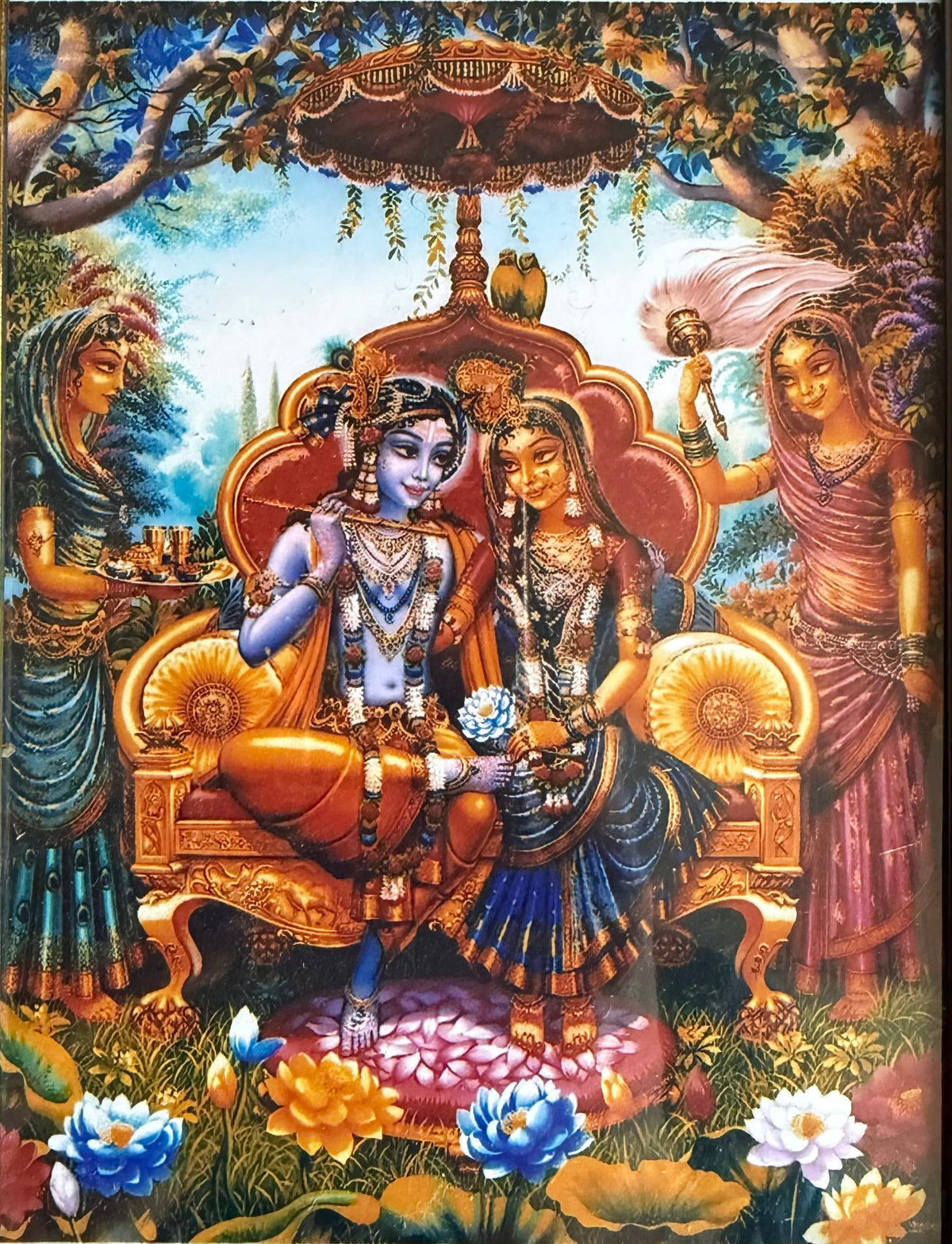 Beautiful Chavi Chitrapat & Poshakh - Shri Hit Sakhi