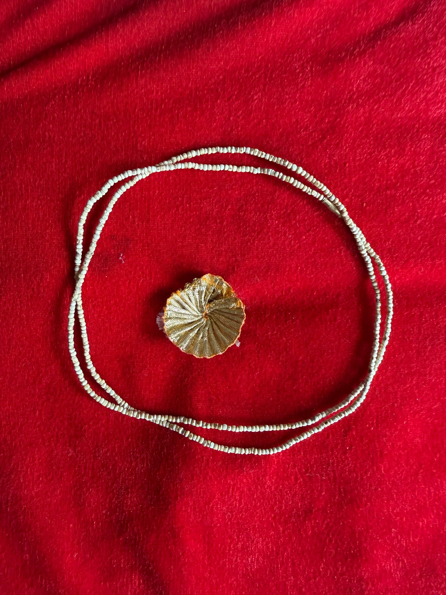 Sabse Patli Premium Pure Tulsi Kanthi Mala Smallest (2 Round)