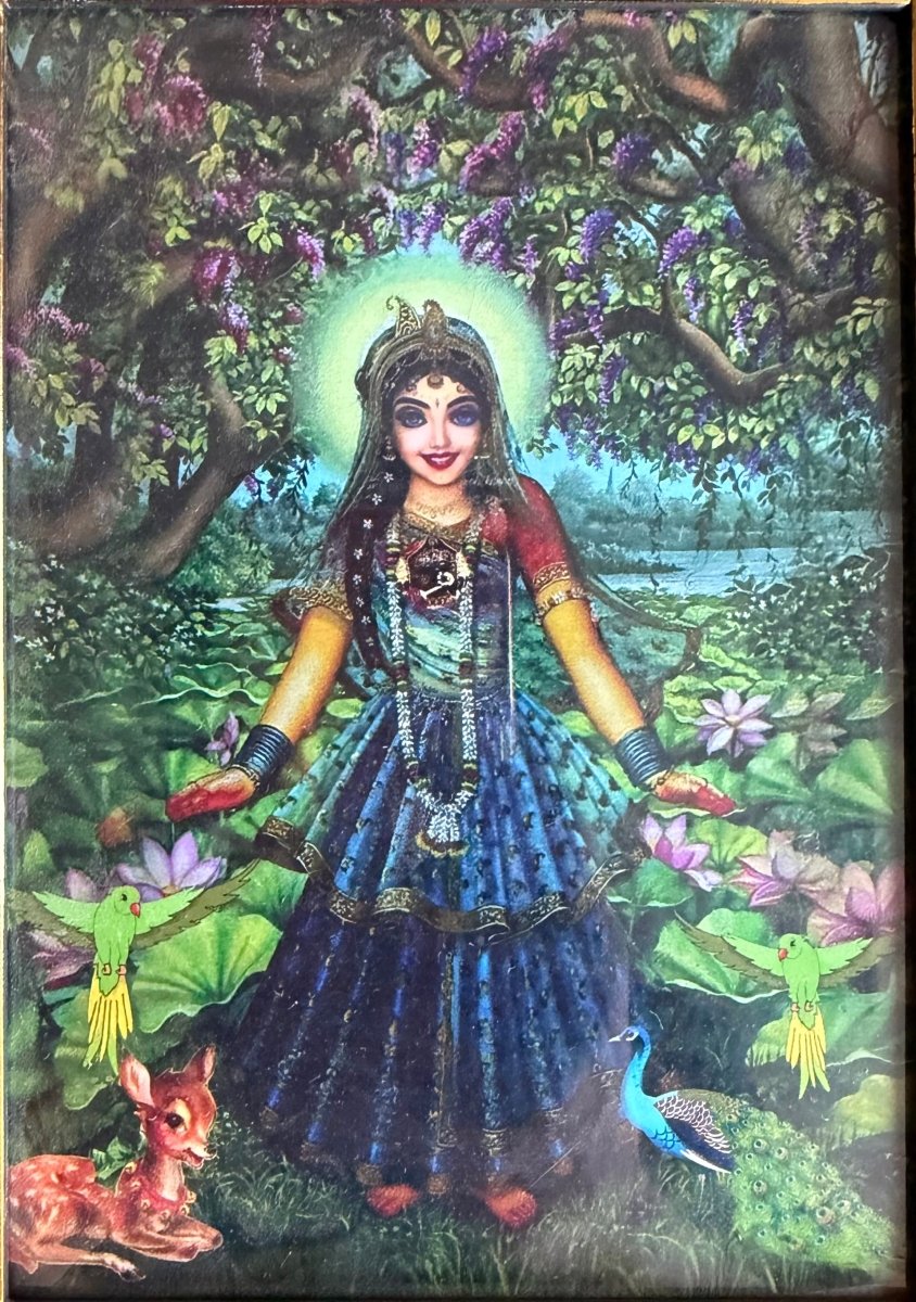 Pyari Shreeji and Radhavallbhju Chavi with Poshakh (without Frame) - Shri Hit Sakhi