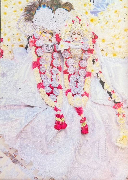Radha Mohan ju Chavi with 1 Poshakh (without Frame) - Shri Hit Sakhi